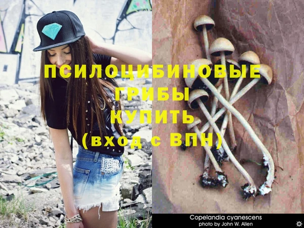 меф Липки