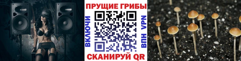 Галлюциногенные грибы мухоморы  наркотики  Кириллов 
